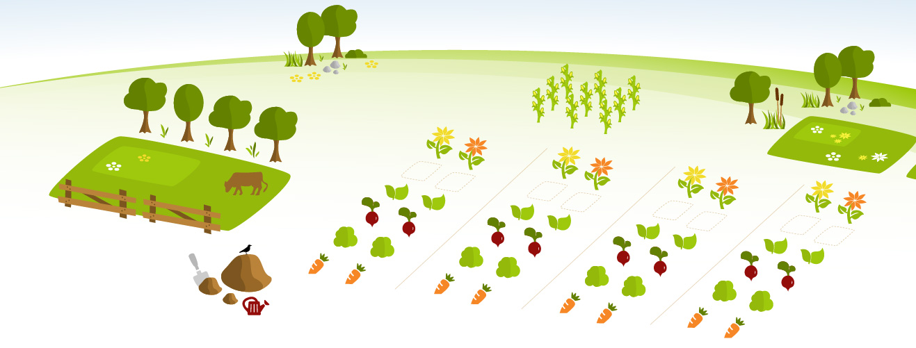 Gartenparzellen in Sannmanns Biogärten